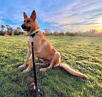 Photo of Molly