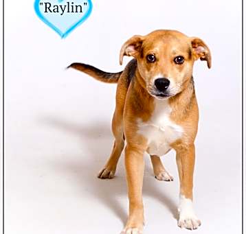 Photo of Raylin
