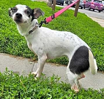 Photo of Delilah