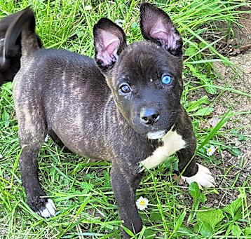 Photo of Luke Jr. AKA LJ