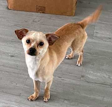 Photo of Paco