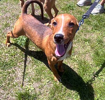 Photo of Ozzy ~ meet me!