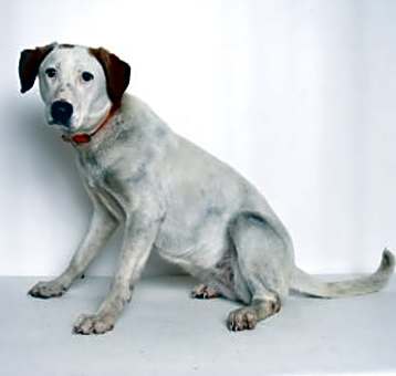 Photo of Emmy