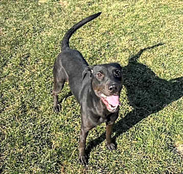 Photo of Elly Mae