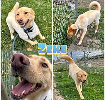 Photo of Zeke