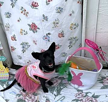 Photo of Jasmine