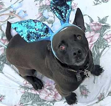 Photo of Jasper
