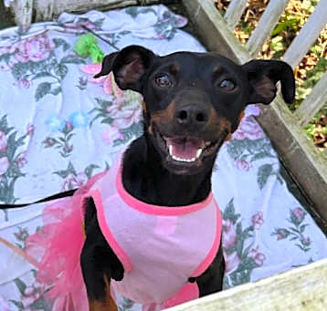 Photo of Shirley