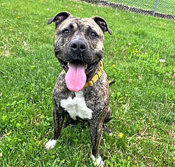 Photo of Bubba