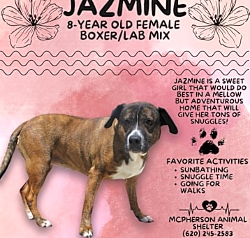 Photo of Jazmine