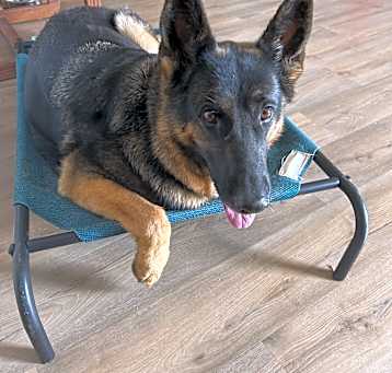 Photo of Princess