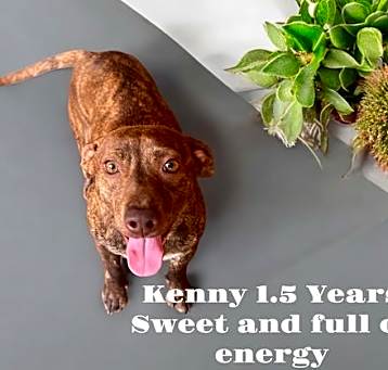 Photo of Kenny