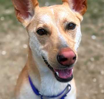 Photo of Holly