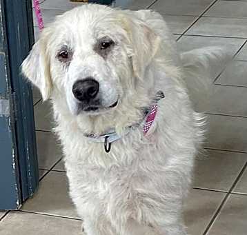 Photo of Shine