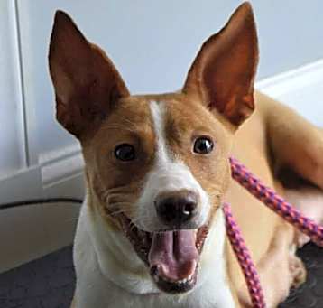 Photo of EMMY