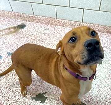 Photo of MOXIE