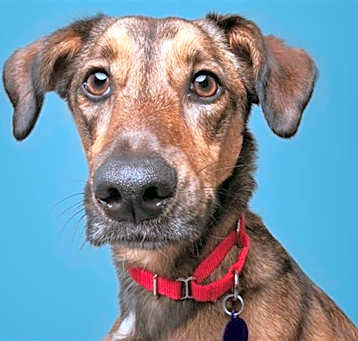 Photo of MOCHA
