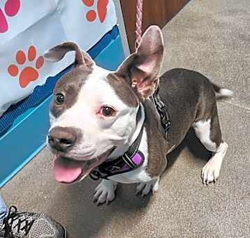 Photo of CHARLEY