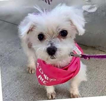 Photo of Lilah