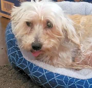Photo of Lola