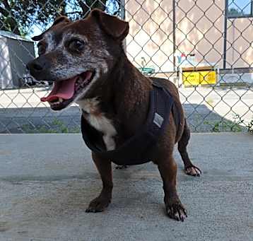 Photo of Estrella