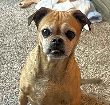 Photo of Riley