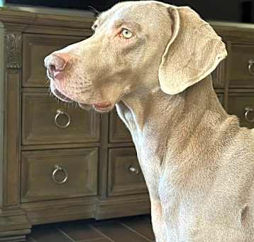 Photo of Ernie