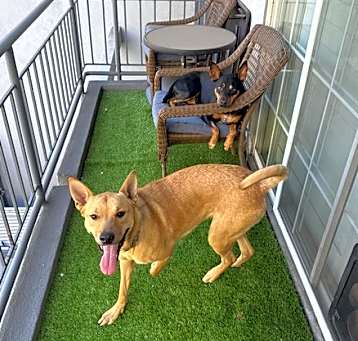 Photo of Maggie