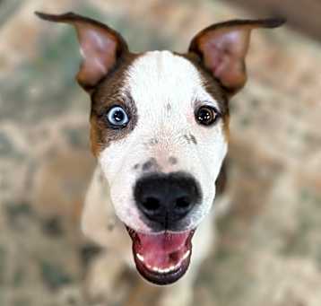 Photo of Chase always cheesin