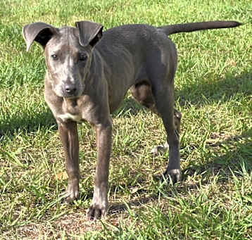 Photo of Zara