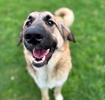 Photo of Jolene