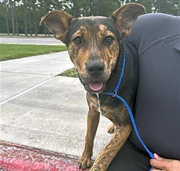 Photo of BANJO