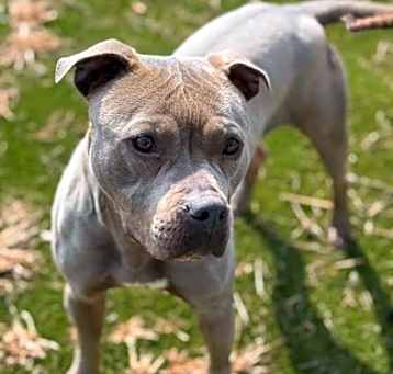 Photo of Clementine