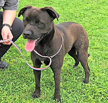 Photo of DIXIE
