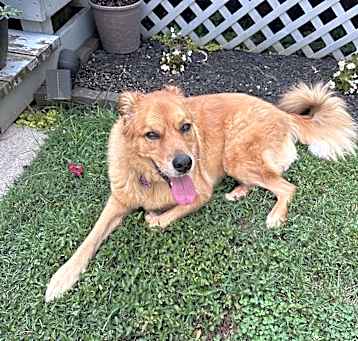 Photo of Stella