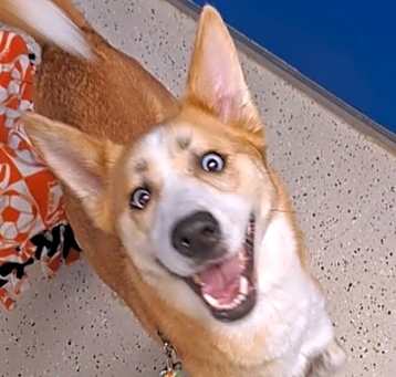 Photo of Max