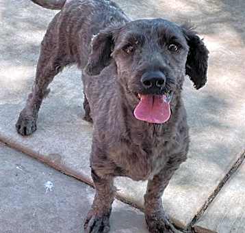 Photo of WOODROW