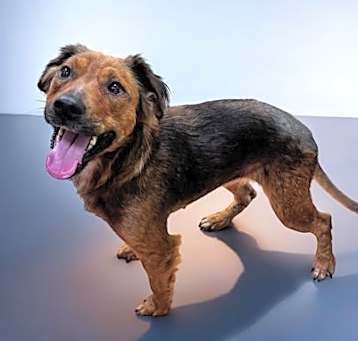 Photo of Twix