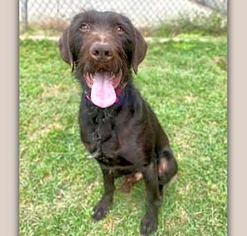 Photo of Clyde