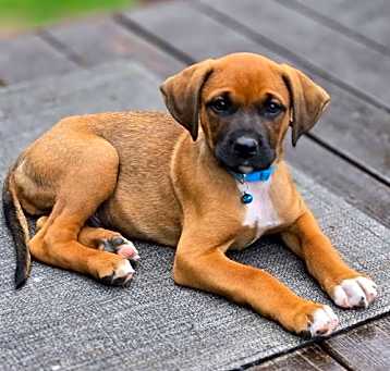 Photo of Bugsey