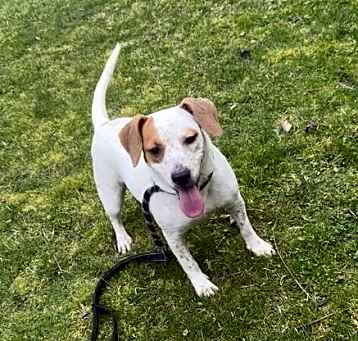 Photo of Candy