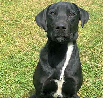 Photo of Dunkin