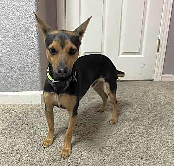 Photo of Max