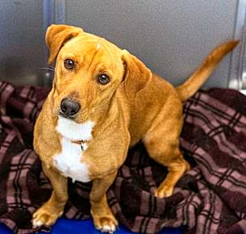 Photo of Buddy