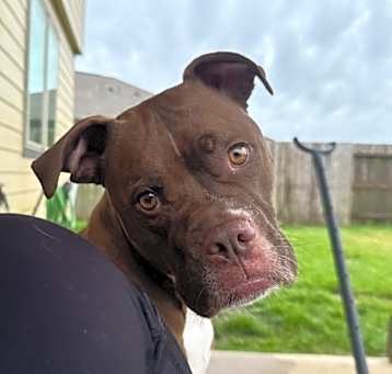 Photo of Remi