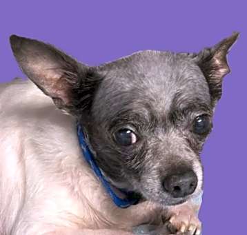 Photo of Jose