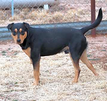 Photo of Duke