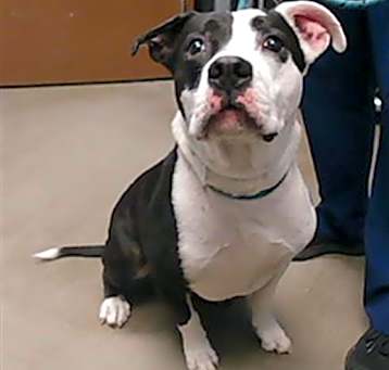 Photo of ROSCO