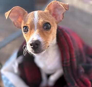 Photo of Sailor