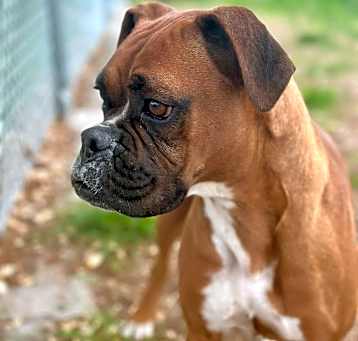 Photo of Rummy
